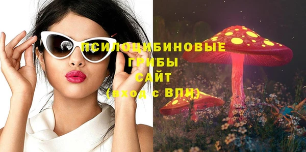 гидропоника Бугульма
