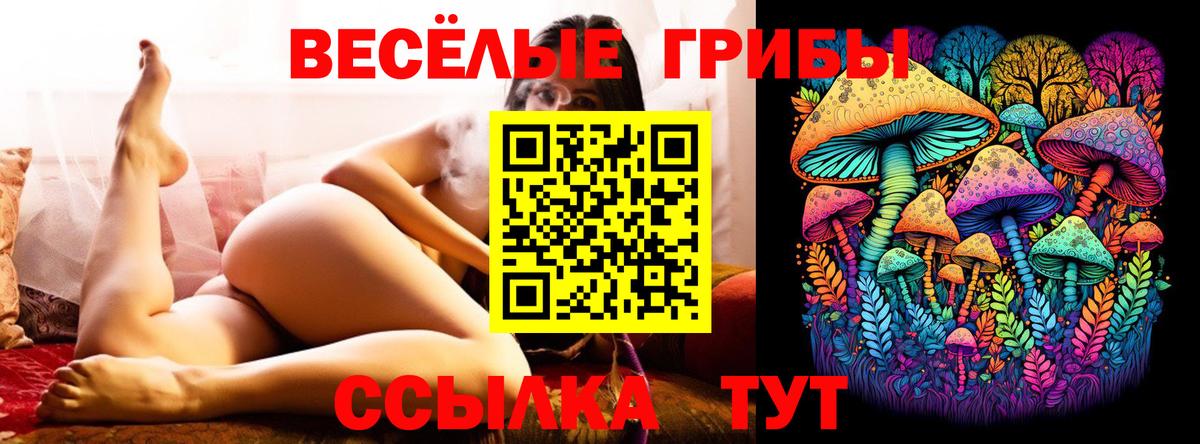 Галлюциногенные грибы Psilocybe Выборг
