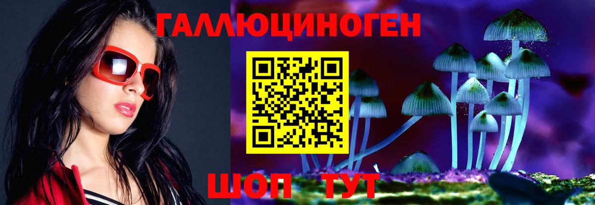 Выборг  Галлюциногенные грибы мицелий  Вход с VPN 